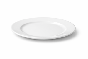 Plato llano de porcelana reforzada 27 cm